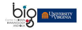 University of Virginia - Center for Brain Immunology and Glia (BIG)