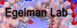 University of Virginia - Egelman Lab