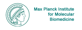 Max Planck Institute for Molecular Biomedicine