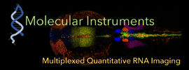 Molecular Instruments, Inc.